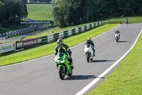 Lower Group Green Bikes